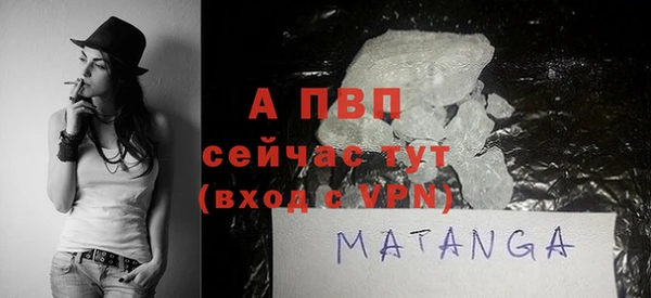 молекула духа Вяземский