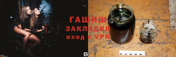 молекула духа Вяземский