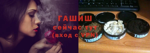 молекула духа Вяземский