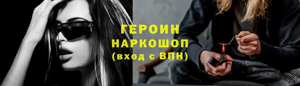 молекула духа Вяземский