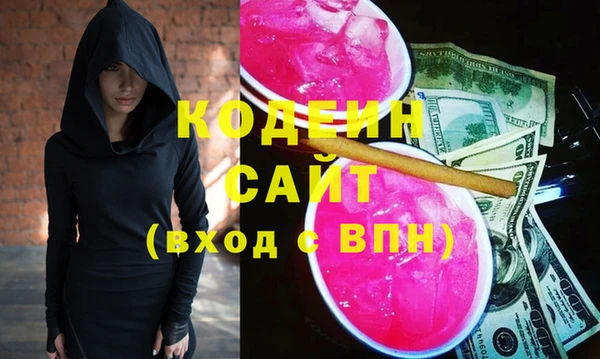 молекула духа Вяземский