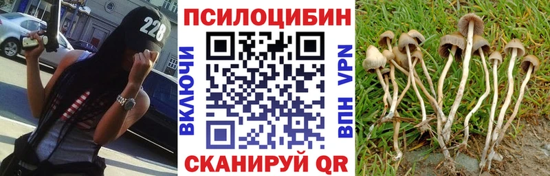 Псилоцибиновые грибы GOLDEN TEACHER  Купить где  Южа 